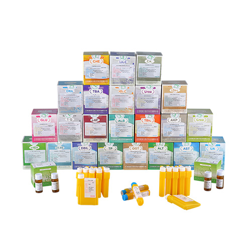 ????? ???????? / ??? ?????? / ??????